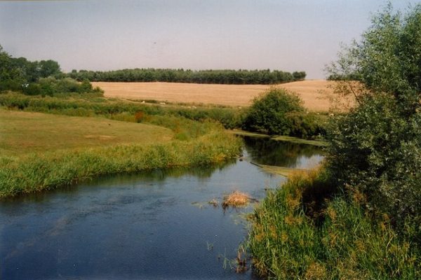 River Wensum North Elmham