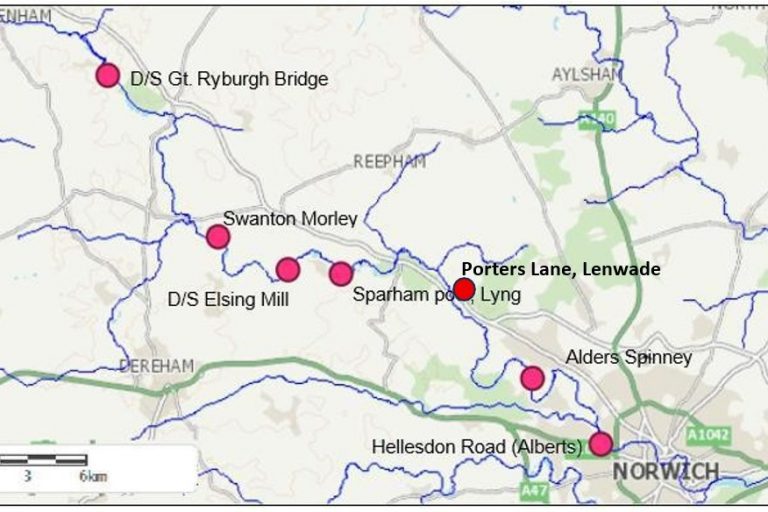 wensum fish survey 2026-3 Image